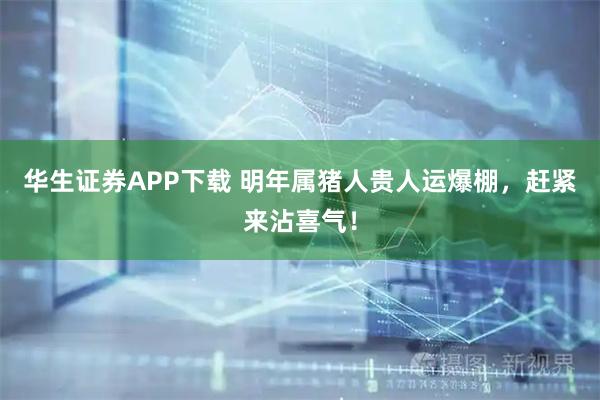 华生证券APP下载 明年属猪人贵人运爆棚，赶紧来沾喜气！