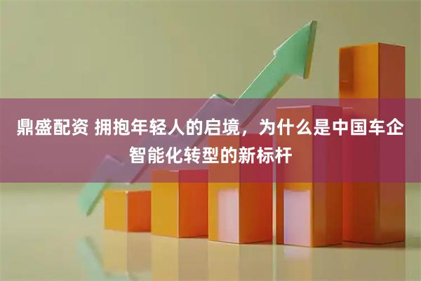 鼎盛配资 拥抱年轻人的启境，为什么是中国车企智能化转型的新标杆