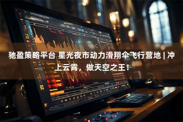 驰盈策略平台 星光夜市动力滑翔伞飞行营地 | 冲上云霄，做天空之王！