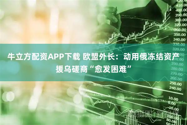 牛立方配资APP下载 欧盟外长：动用俄冻结资产援乌磋商“愈发困难”
