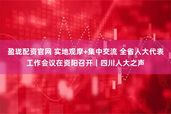 盈珑配资官网 实地观摩+集中交流 全省人大代表工作会议在资阳召开｜四川人大之声